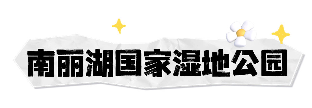 海南定安翰林富硒大米（海南定安翰林富硒大米）-硒宝网