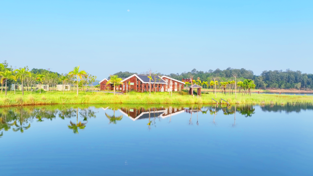 海南定安翰林富硒大米（海南定安翰林富硒大米）-硒宝网