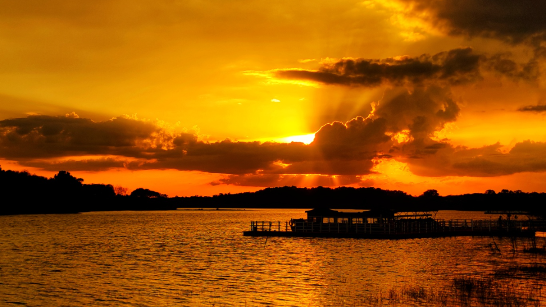 海南定安翰林富硒大米（海南定安翰林富硒大米）-硒宝网