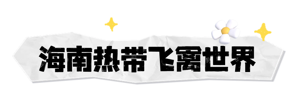 海南定安翰林富硒大米（海南定安翰林富硒大米）-硒宝网