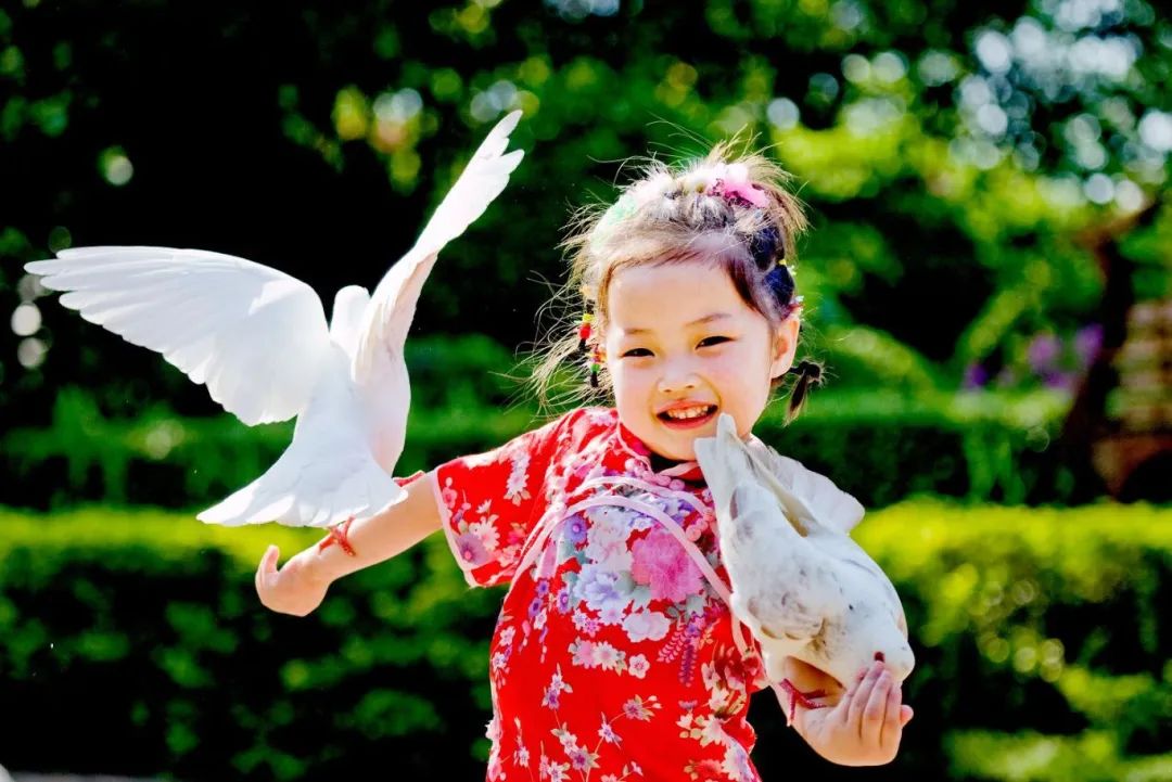 海南定安翰林富硒大米（海南定安翰林富硒大米）-硒宝网