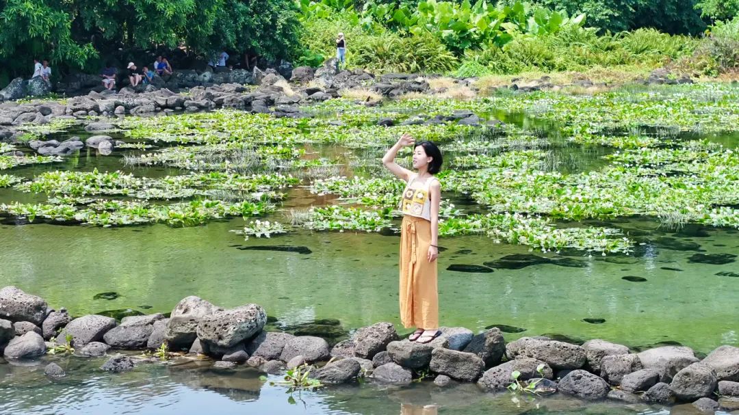 海南定安翰林富硒大米（海南定安翰林富硒大米）-硒宝网