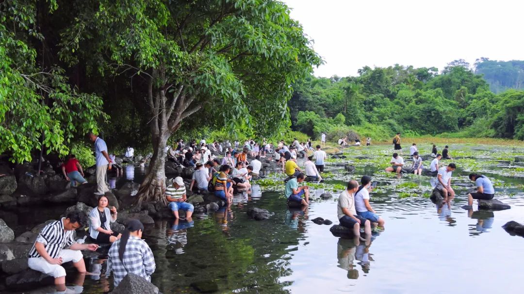 海南定安翰林富硒大米（海南定安翰林富硒大米）-硒宝网