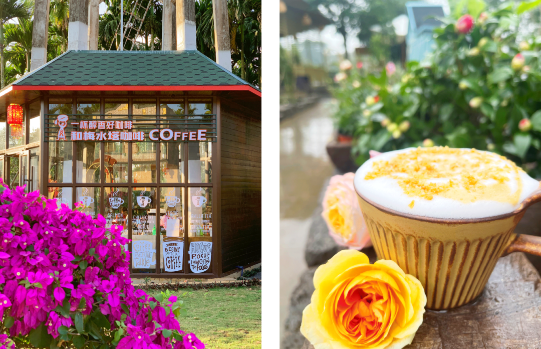 海南定安翰林富硒大米（海南定安翰林富硒大米）-硒宝网