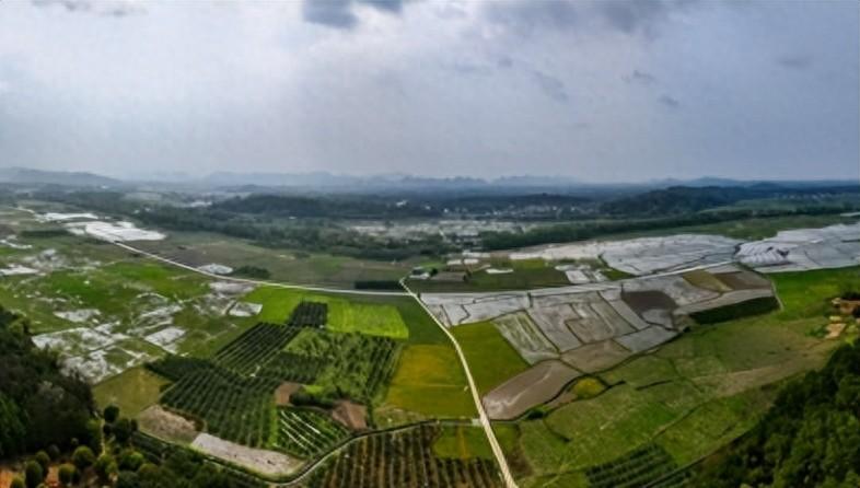 科技公司富硒大米基地(富硒大米哪里有卖)-硒宝网