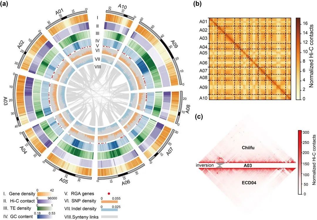 沈阳有机富硒大米资源(沈阳富硒大米哪家好)-硒宝网