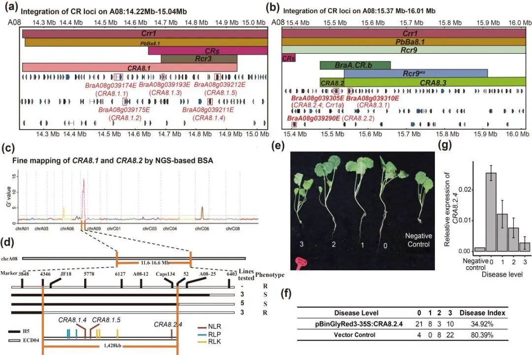 沈阳有机富硒大米资源(沈阳富硒大米哪家好)-硒宝网