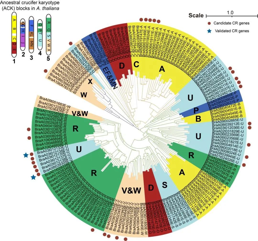 沈阳有机富硒大米资源(沈阳富硒大米哪家好)-硒宝网