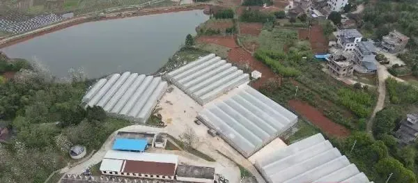 湖南有机富硒大米资源（富硒优质大米）-硒宝网