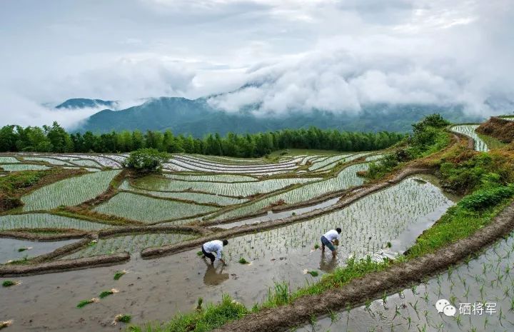 中国长寿之乡富硒大米（延寿富硒大米）-硒宝网