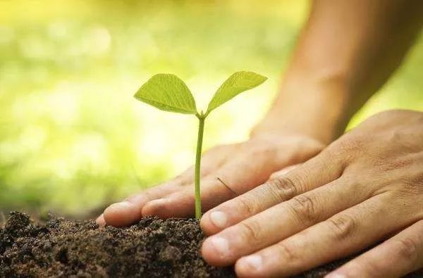 中国长寿之乡富硒大米（延寿富硒大米）-硒宝网