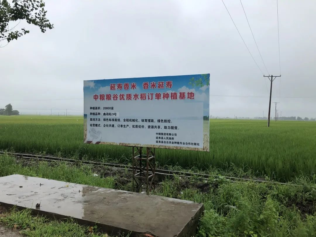 富硒大米扶贫产业项目(富硒大米指标)-硒宝网