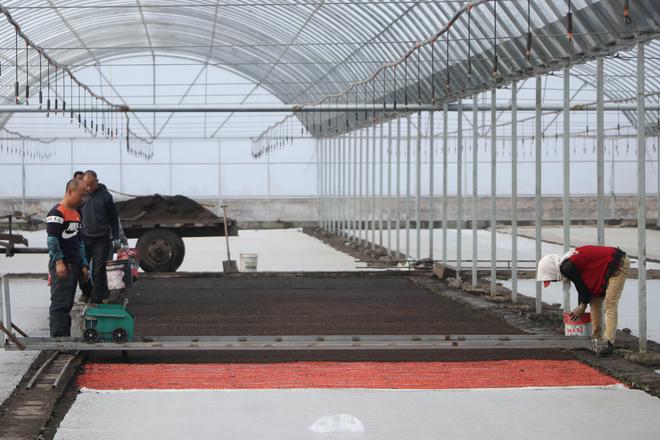 南江富硒大米种植技术（富硒大米基地）-硒宝网