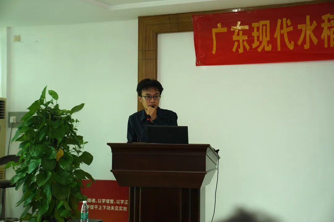 如何讲解富硒大米问题(富硒的大米)-硒宝网