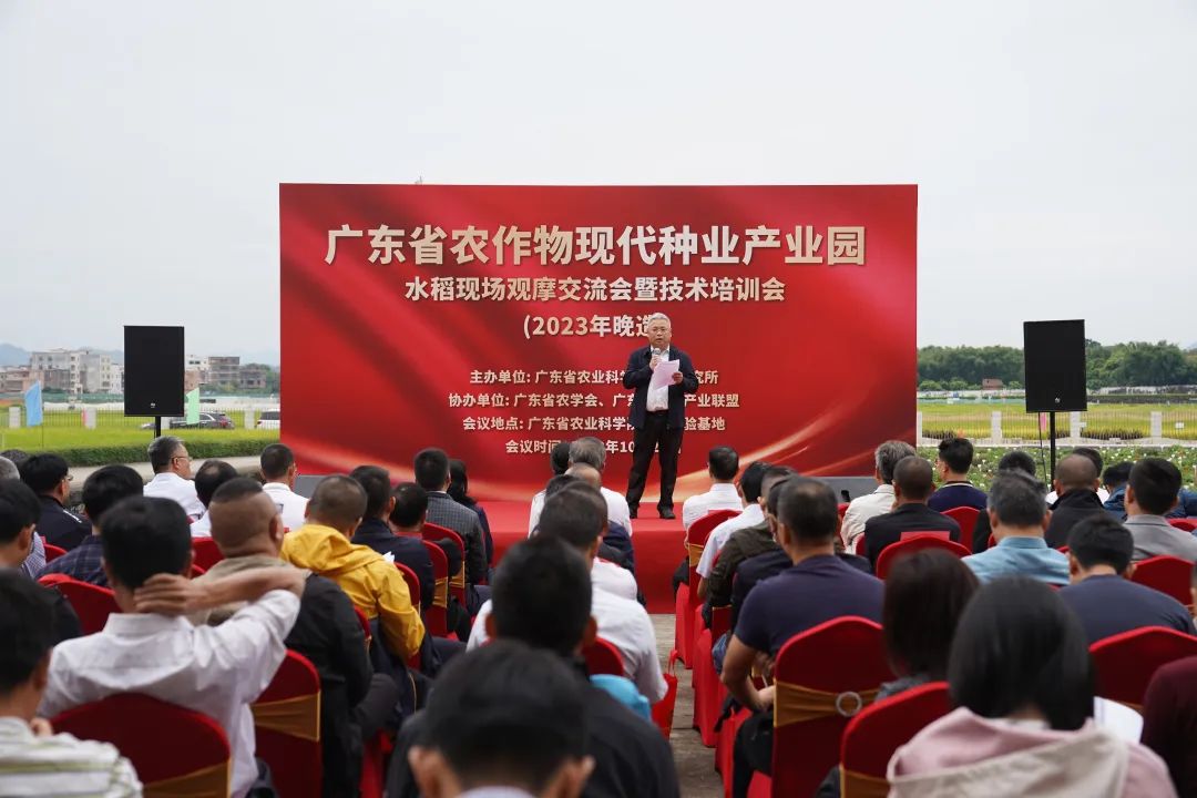 如何讲解富硒大米问题(富硒的大米)-硒宝网