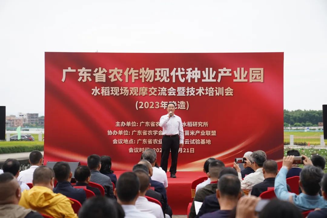 如何讲解富硒大米问题(富硒的大米)-硒宝网