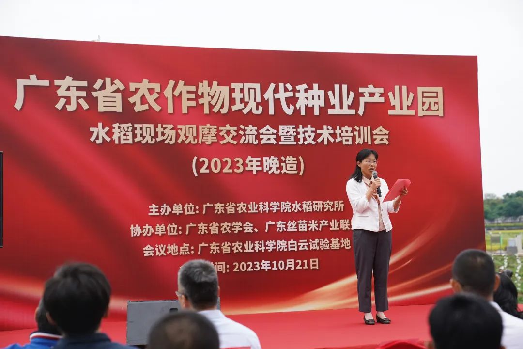 如何讲解富硒大米问题(富硒的大米)-硒宝网