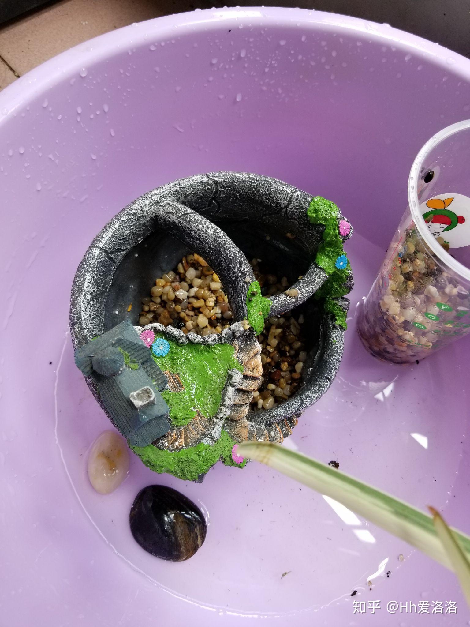 查微量元素需要多久出结果(查微量元素当时能出结果吗)-硒宝网