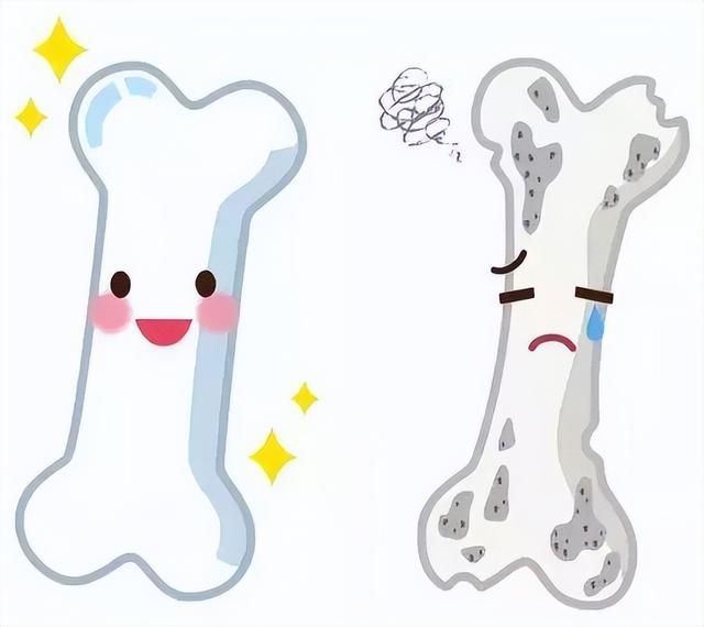 什么补钙好(夏天补钙好还是春天补钙好)-硒宝网