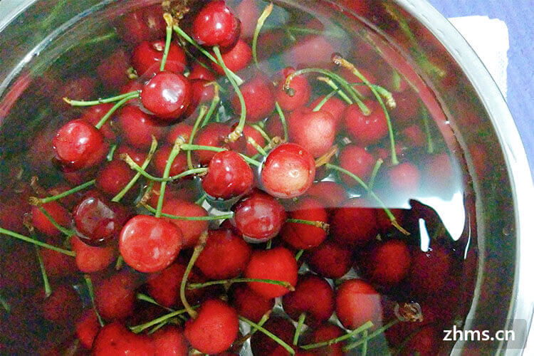 补铁的东西（补铁的吃的）-硒宝网