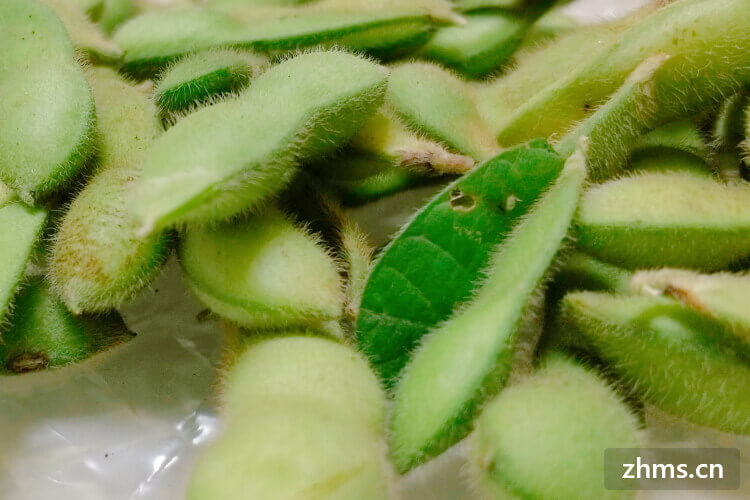 补铁的东西（补铁的吃的）-硒宝网