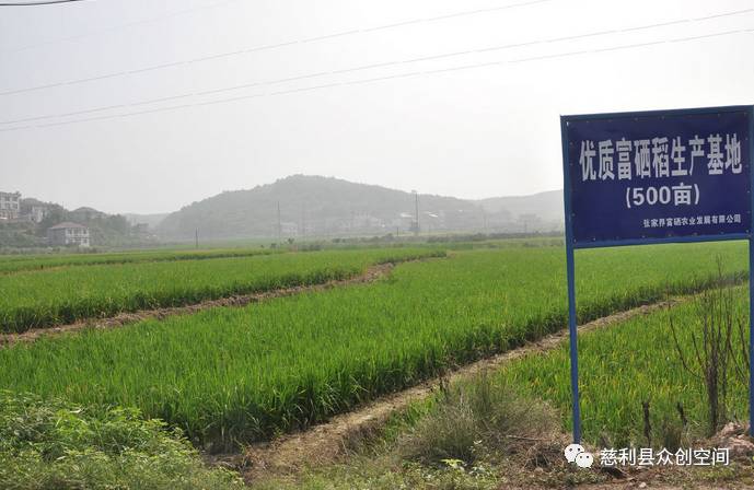 常德富硒大米加工企业(常德大米加工厂)-硒宝网