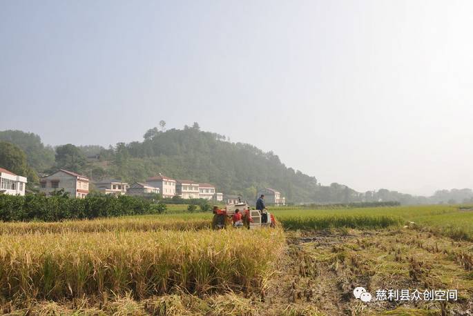 常德富硒大米加工企业(常德大米加工厂)-硒宝网