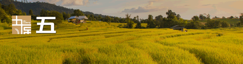 有机富硒大米执行标准（富硒大米国标号）-硒宝网