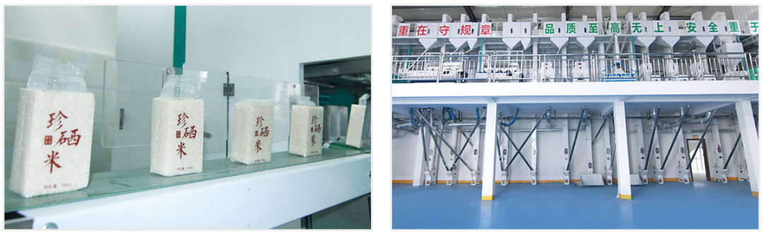 杭州有机富硒大米交易（杭州富硒大米骗局）-硒宝网