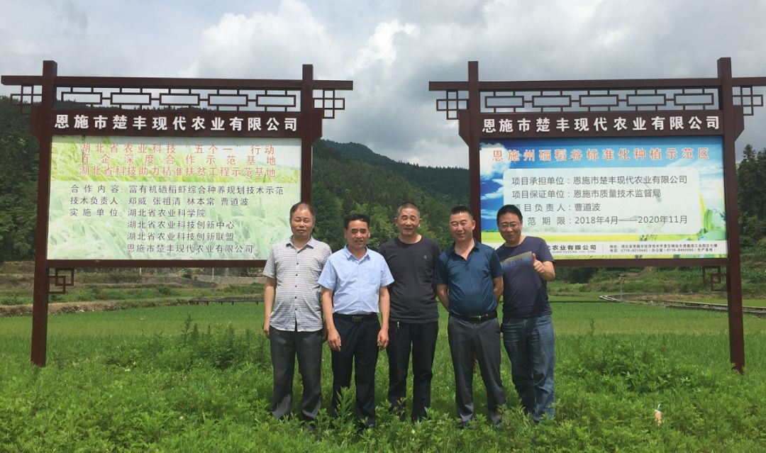 杭州有机富硒大米交易（杭州富硒大米骗局）-硒宝网