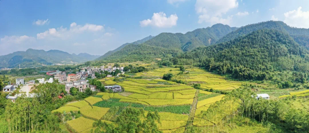 有机富硒大米执行标准（富硒大米国标）-硒宝网