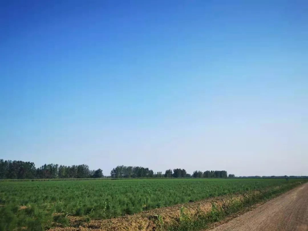 有机富硒大米执行标准(富硒大米成分表)-硒宝网