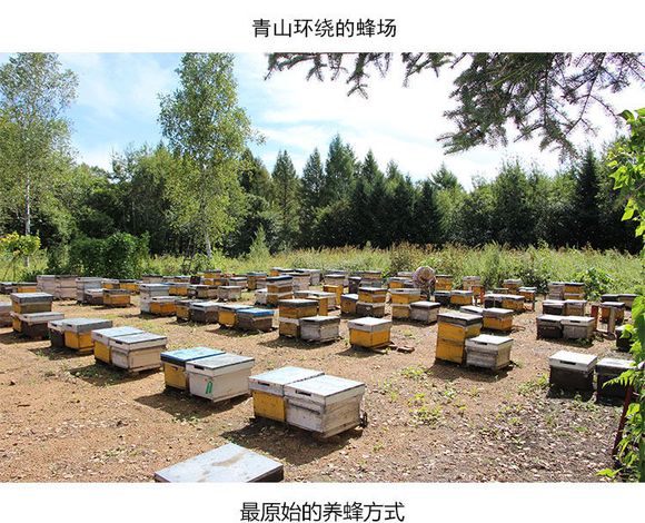 富硒大米怎么辨别真假(怎样辨别富硒大米)-硒宝网