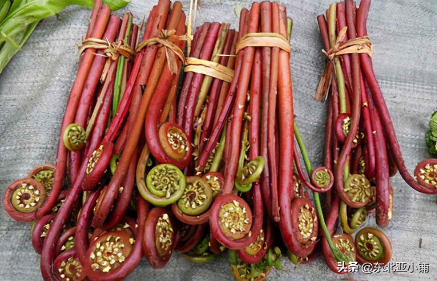 延吉富硒大米的成熟季（吉林富硒大米）-硒宝网