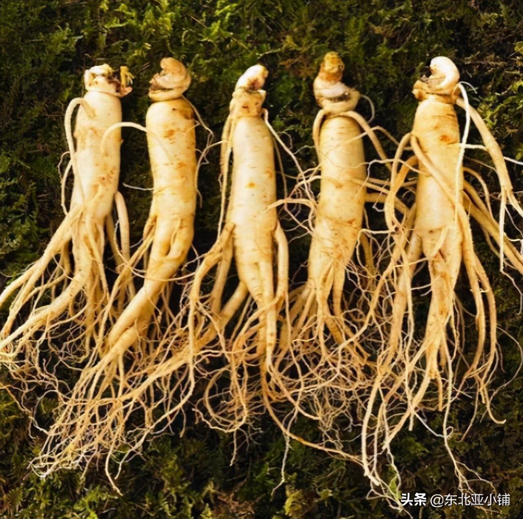 延吉富硒大米的成熟季（吉林富硒大米）-硒宝网