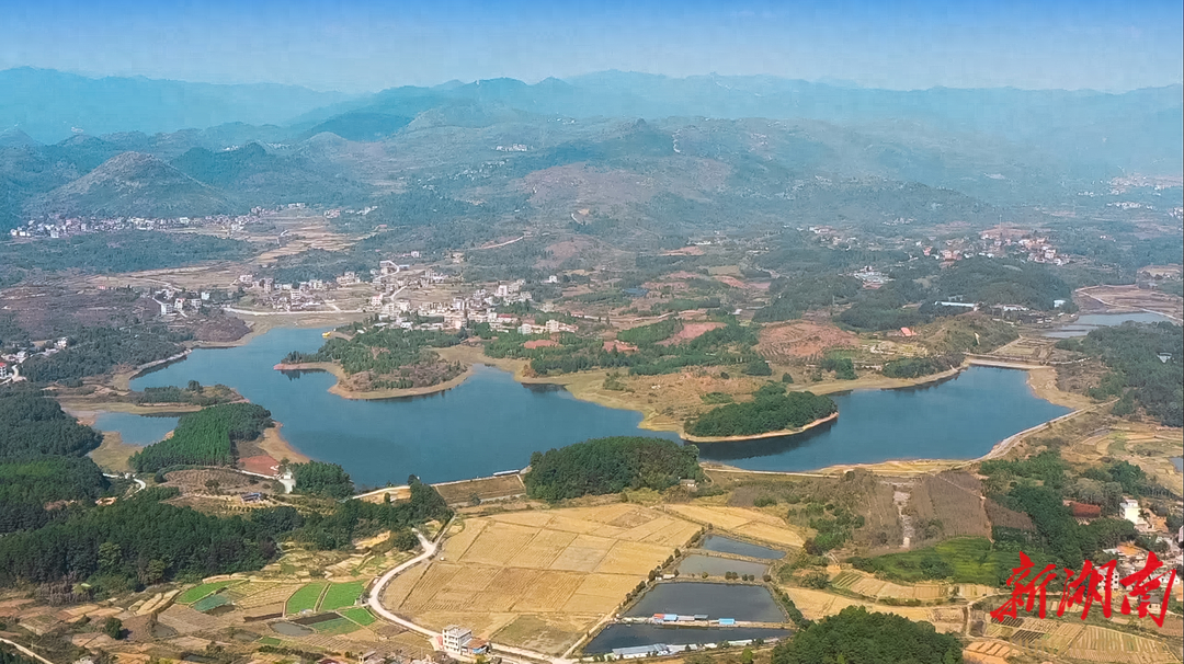 新田富硒大米在哪个村（新田富硒米多少钱一斤）-硒宝网