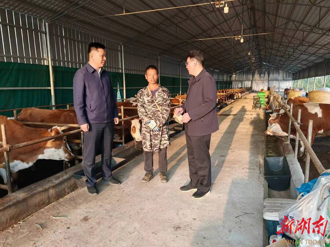 新田富硒大米在哪个村（新田富硒米多少钱一斤）-硒宝网