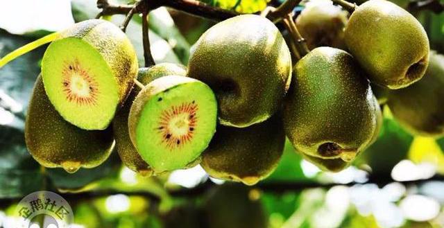 减肥可以吃富硒大米吗(富硒大米可以天天吃吗)-硒宝网