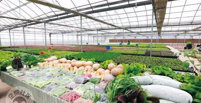 减肥可以吃富硒大米吗(富硒大米可以天天吃吗)-硒宝网