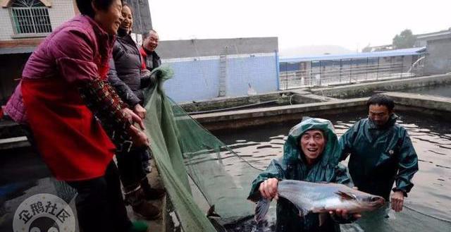 减肥可以吃富硒大米吗(富硒大米可以天天吃吗)-硒宝网