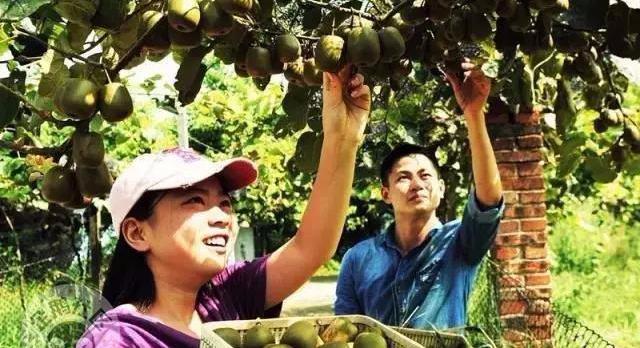 减肥可以吃富硒大米吗(富硒大米可以天天吃吗)-硒宝网