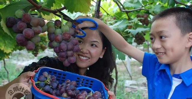 减肥可以吃富硒大米吗(富硒大米可以天天吃吗)-硒宝网