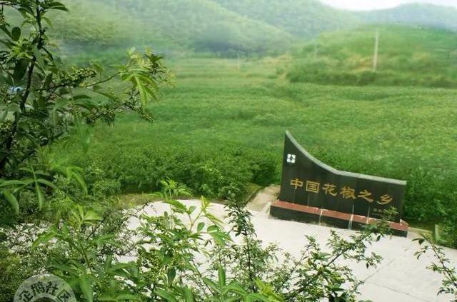 减肥可以吃富硒大米吗(富硒大米可以天天吃吗)-硒宝网