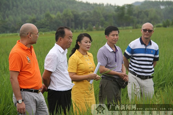 广西富硒大米生产技术(广西富硒米产地)-硒宝网