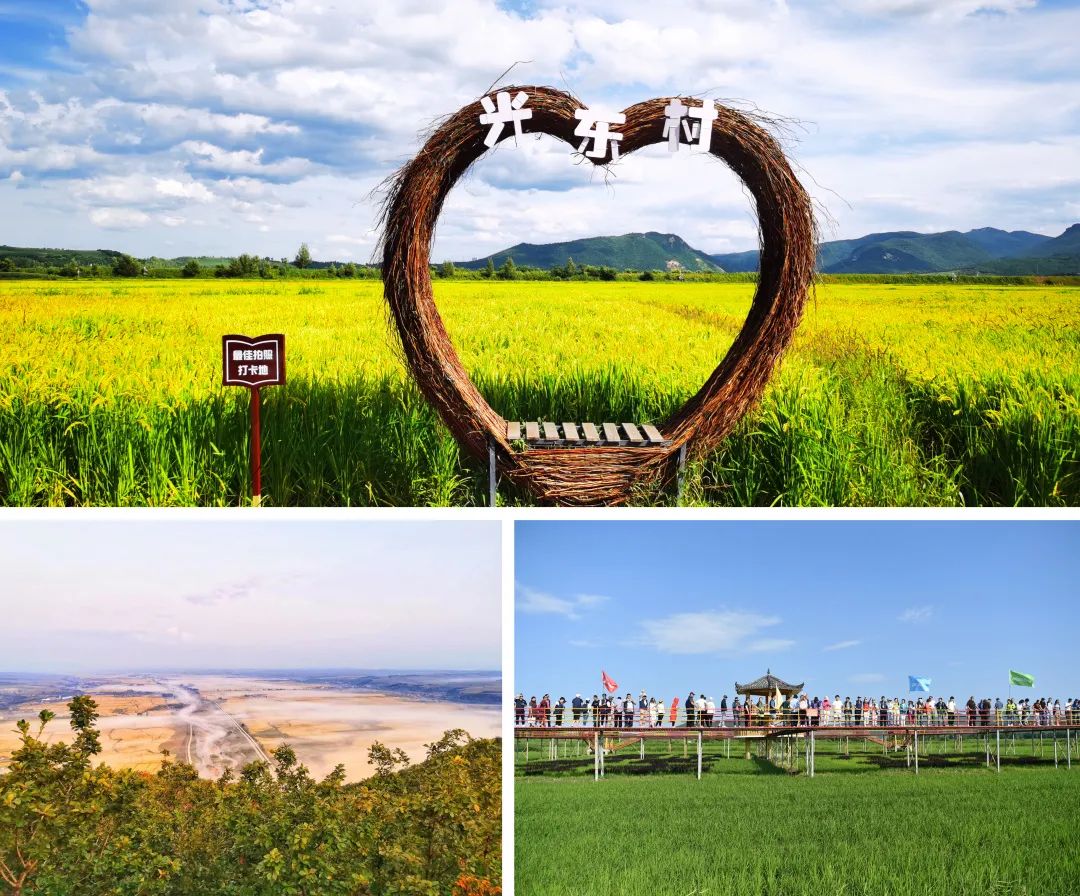 珲春富硒大米营养价值(大米营养价值高)-硒宝网