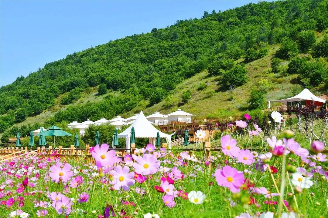 珲春富硒大米营养价值(大米营养价值高)-硒宝网