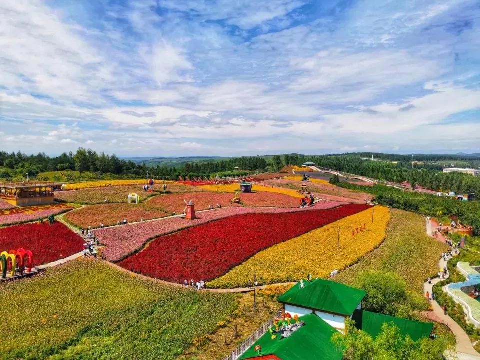 珲春富硒大米营养价值(大米营养价值高)-硒宝网