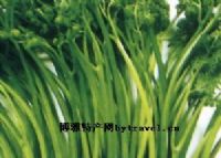 富硒大米国家地理标识（富硒大米国标号）-硒宝网