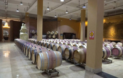 宁夏有机富硒大米价格(富硒大米产量)-硒宝网