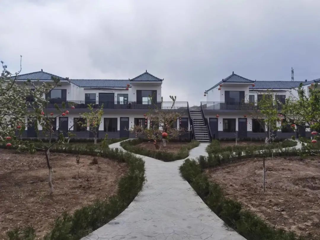 宁夏有机富硒大米价格(富硒大米产量)-硒宝网